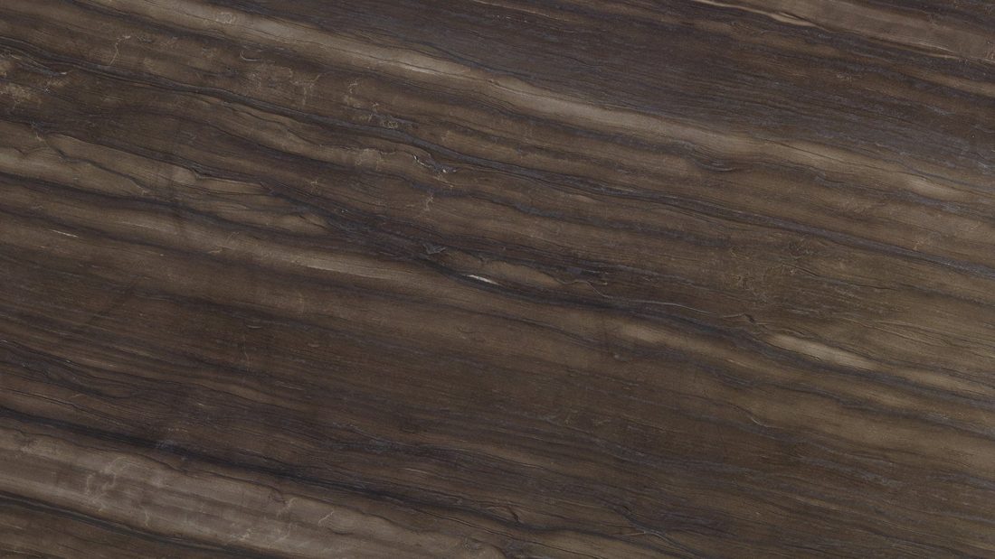 Sequoia Brown Sequoia Brown quartzite, slab detail (representative)