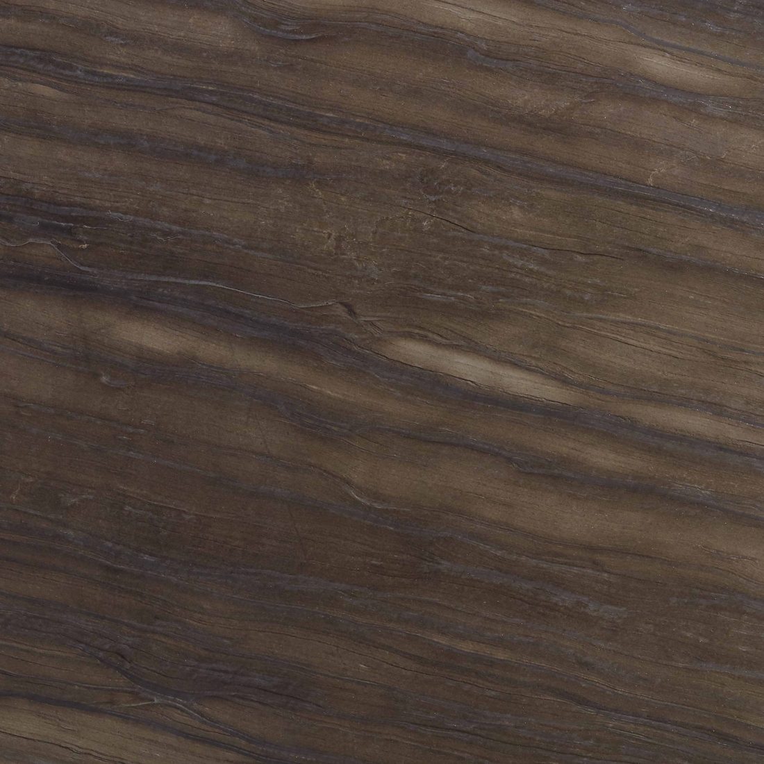 Sequoia Brown Sequoia Brown quartzite, close-up (representative)