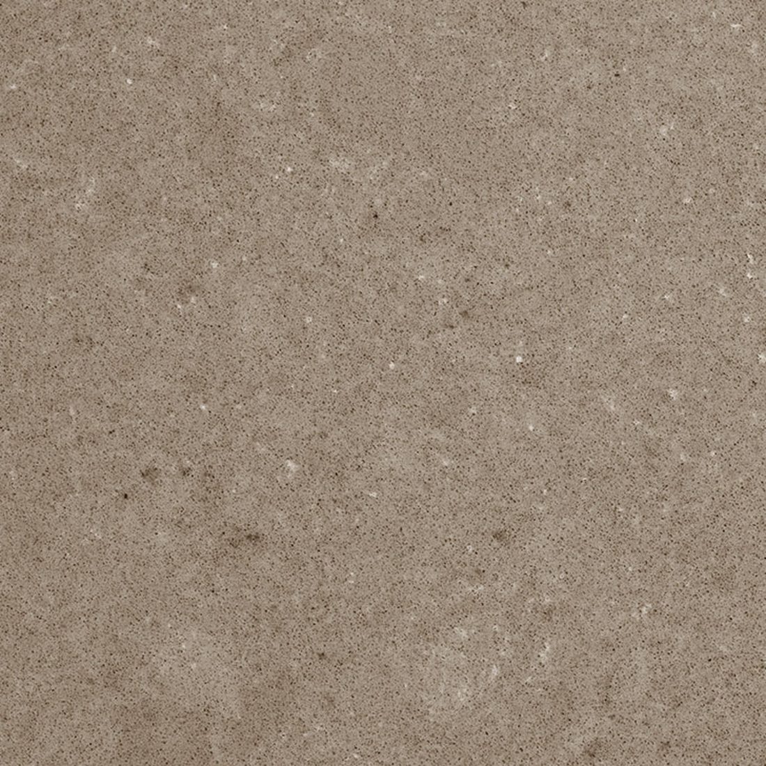 Taupe Taupe close-up