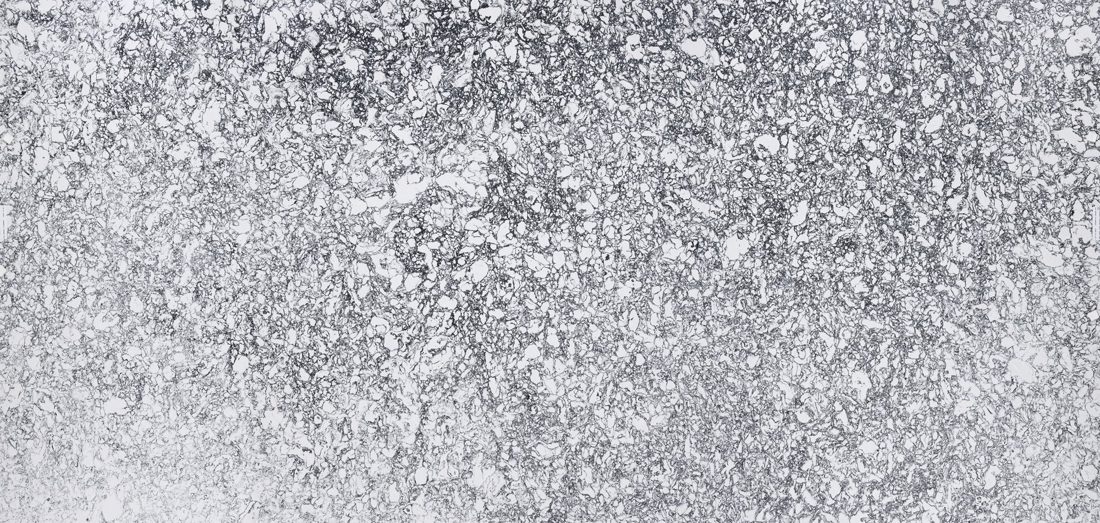 Cambria Rose Bay Rose Bay full slab