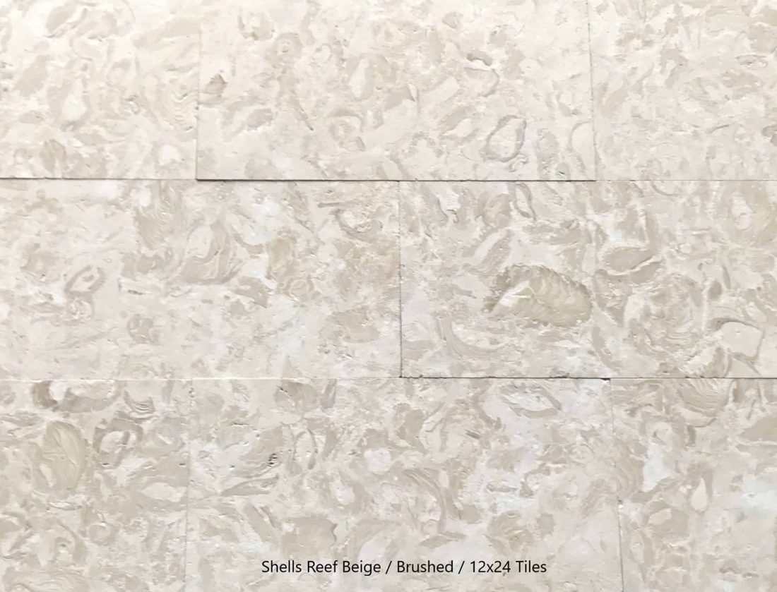 Shells Reef Beige Slab 
