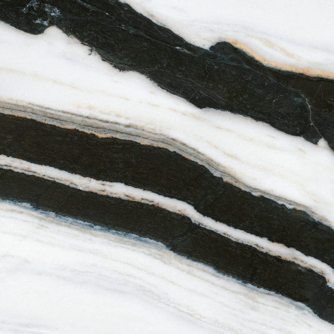 Infinity Panda White Natura Vein Panda White close-up