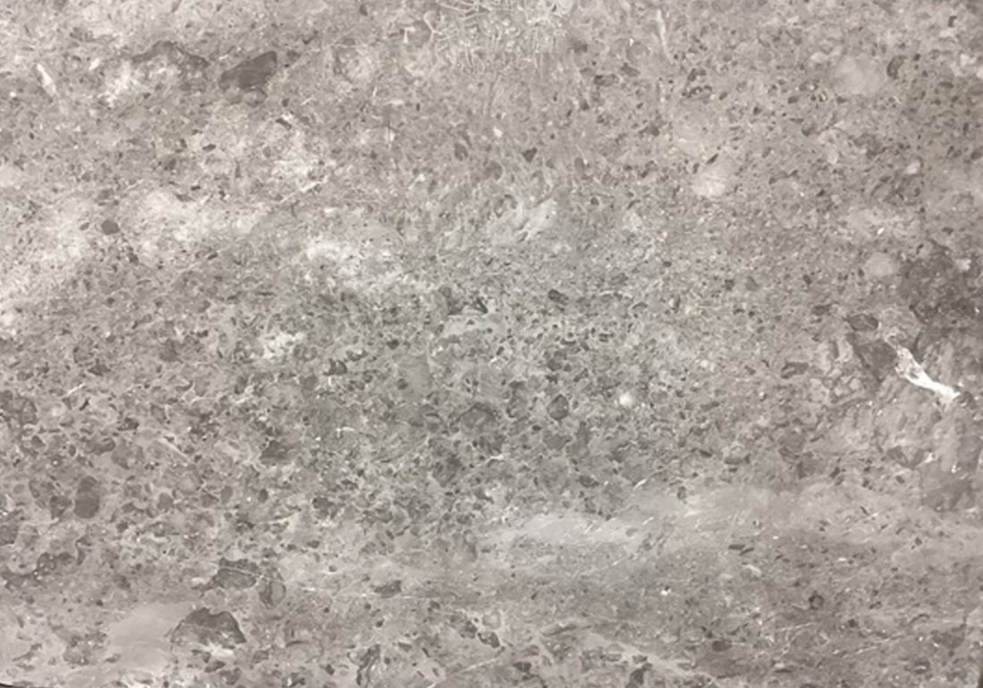 Arctic Gray 